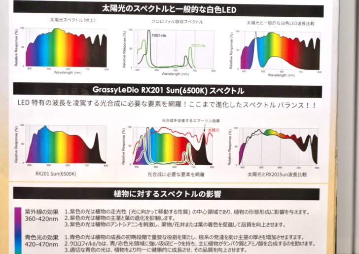 ボルクスジャパン スペクトラム